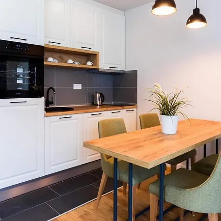 Rajan Apartment Zlatibor